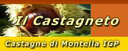 Vendita Castagne e derivati
